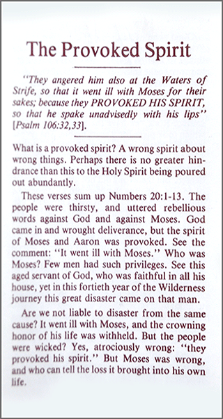 The Provoked Spirit by C.G. M.