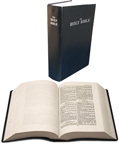 BLMF Plain Text Bible: Lifeline Edition by King James Version