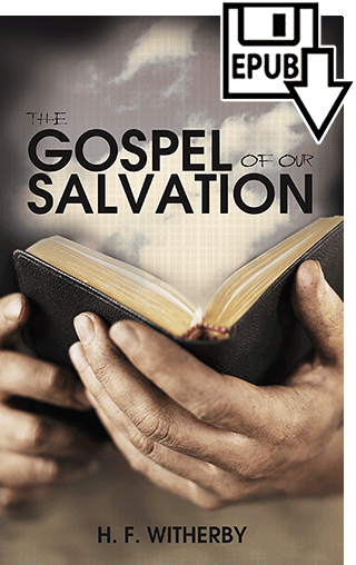 The Gospel of Our Salvation by Henry Forbes Witherby