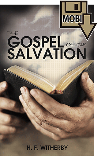 The Gospel of Our Salvation by Henry Forbes Witherby