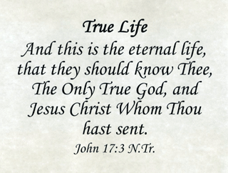 Small Frameable 11" x 8.5" True Life Calligraphy Text: "And this is . . . Thou hast sent. John 17:3 Full Verse by ShareWord Wall Witness, N.Tr.