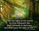 10" x 8" Small Frameable Poster Text Card: (Sunlit Path) Jesus said, "I am the Light . . . life." John 8:12 (full verse) by IBH