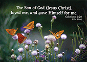 7" x 5" Small Frameable Text Card: (Blossoms & Butterflies) The Son of God (Jesus Christ) loved . . . . Galatians 2:20b by IBH