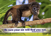 7" x 5" Small Frameable Text Card: (Monkey) Be sure your sin will find you out. Numbers 32:23 by IBH