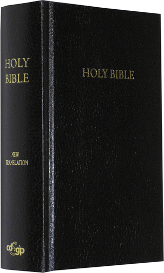 JND Bible: Modified-Notes Edition, Beryl Type (Smallest) by Darby Translation