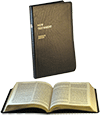 Parallel New Testament: Full-Notes Edition by King James Version/J.N. Darby