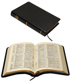 Newberry Reference Bible: Ritchie Double-Column Compact Edition