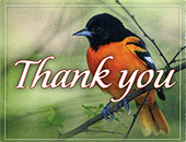 Thank You Tip Tract: Oriole