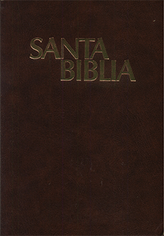 Santa Biblia Mediana by Versión Moderna (1929) Pratt y Mora