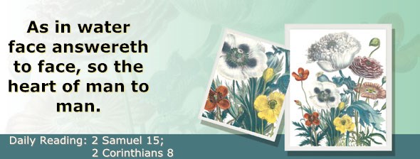 https://bibletruthpublishers.com/ComfortOfScriptures/wp-content/uploads/cos-hdg-2017-262.jpg