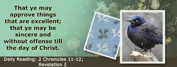 https://bibletruthpublishers.com/ComfortOfScriptures/wp-content/uploads/cos-hdg-2018-345.jpg