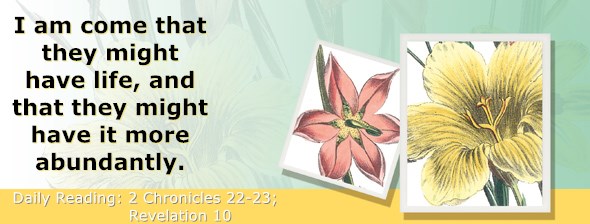 https://bibletruthpublishers.com/ComfortOfScriptures/wp-content/uploads/cos-hdg-2018-353.jpg