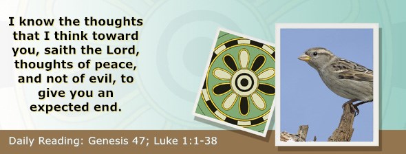 https://bibletruthpublishers.com/ComfortOfScriptures/wp-content/uploads/cos-hdg-2019-045.jpg