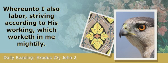 https://bibletruthpublishers.com/ComfortOfScriptures/wp-content/uploads/cos-hdg-2019-071.jpg