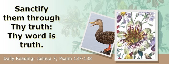 https://bibletruthpublishers.com/ComfortOfScriptures/wp-content/uploads/cos-hdg-2019-186.jpg