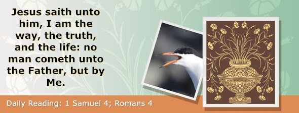 https://bibletruthpublishers.com/ComfortOfScriptures/wp-content/uploads/cos-hdg-2019-226.jpg
