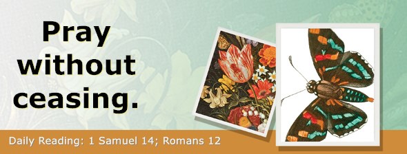 https://bibletruthpublishers.com/ComfortOfScriptures/wp-content/uploads/cos-hdg-2019-234.jpg