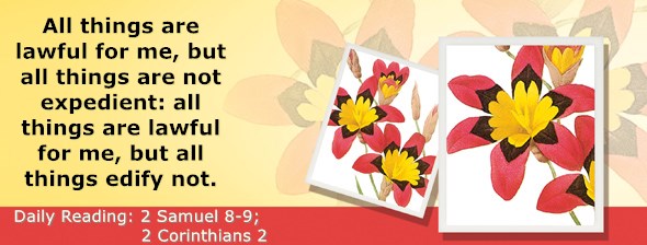 https://bibletruthpublishers.com/ComfortOfScriptures/wp-content/uploads/cos-hdg-2019-256.jpg