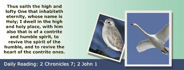 https://bibletruthpublishers.com/ComfortOfScriptures/wp-content/uploads/cos-hdg-2019-341.jpg