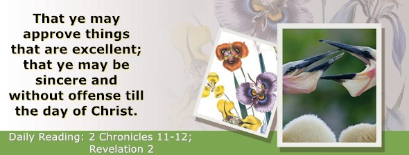 https://bibletruthpublishers.com/ComfortOfScriptures/wp-content/uploads/cos-hdg-2019-345.jpg