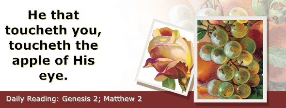 https://bibletruthpublishers.com/ComfortOfScriptures/wp-content/uploads/cos-hdg-2020-002.jpg
