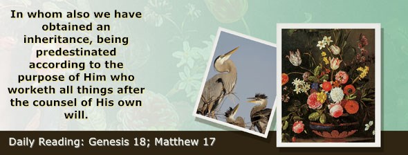 https://bibletruthpublishers.com/ComfortOfScriptures/wp-content/uploads/cos-hdg-2020-017.jpg