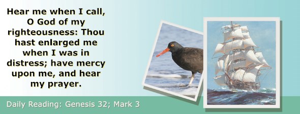 https://bibletruthpublishers.com/ComfortOfScriptures/wp-content/uploads/cos-hdg-2020-031.jpg