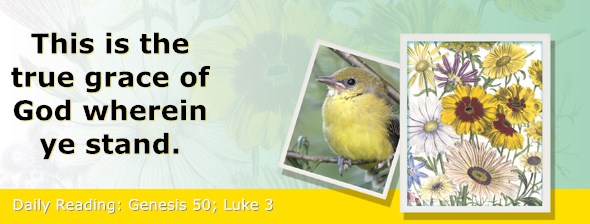 https://bibletruthpublishers.com/ComfortOfScriptures/wp-content/uploads/cos-hdg-2020-048.jpg