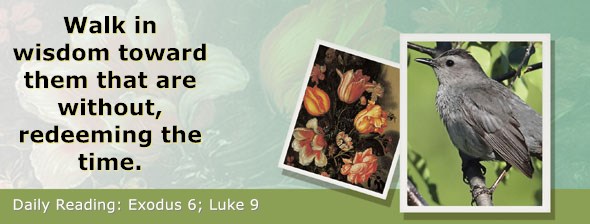 https://bibletruthpublishers.com/ComfortOfScriptures/wp-content/uploads/cos-hdg-2020-054.jpg