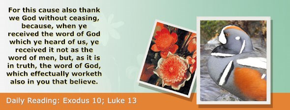https://bibletruthpublishers.com/ComfortOfScriptures/wp-content/uploads/cos-hdg-2020-058.jpg