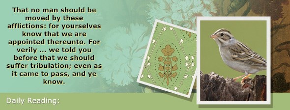 https://bibletruthpublishers.com/ComfortOfScriptures/wp-content/uploads/cos-hdg-2020-060.jpg