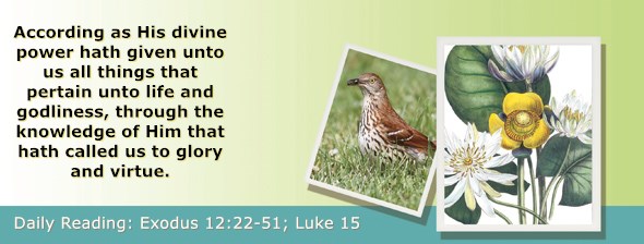 https://bibletruthpublishers.com/ComfortOfScriptures/wp-content/uploads/cos-hdg-2020-061.jpg