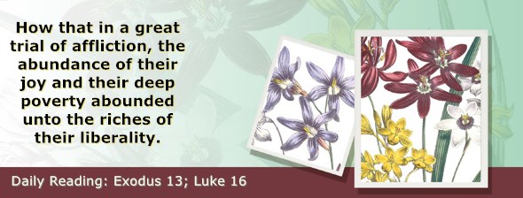 https://bibletruthpublishers.com/ComfortOfScriptures/wp-content/uploads/cos-hdg-2020-062.jpg