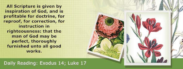 https://bibletruthpublishers.com/ComfortOfScriptures/wp-content/uploads/cos-hdg-2020-063.jpg
