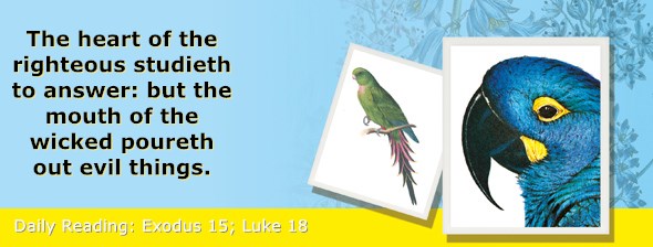 https://bibletruthpublishers.com/ComfortOfScriptures/wp-content/uploads/cos-hdg-2020-064.jpg