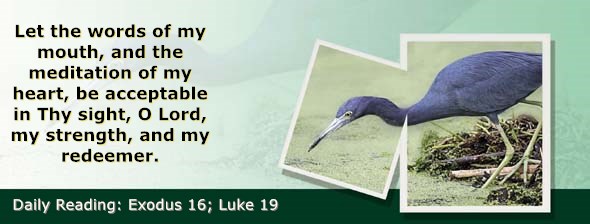 https://bibletruthpublishers.com/ComfortOfScriptures/wp-content/uploads/cos-hdg-2020-065.jpg