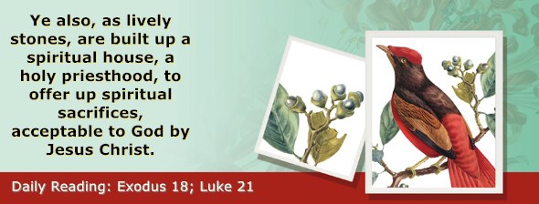 https://bibletruthpublishers.com/ComfortOfScriptures/wp-content/uploads/cos-hdg-2020-067.jpg
