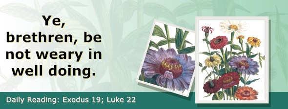 https://bibletruthpublishers.com/ComfortOfScriptures/wp-content/uploads/cos-hdg-2020-068.jpg