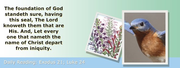 https://bibletruthpublishers.com/ComfortOfScriptures/wp-content/uploads/cos-hdg-2020-070.jpg