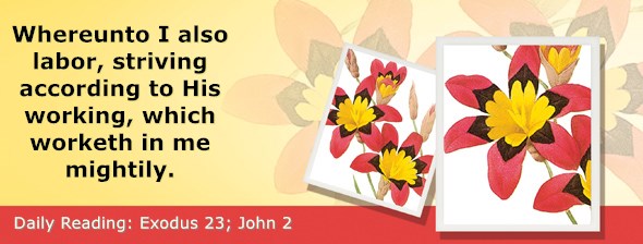 https://bibletruthpublishers.com/ComfortOfScriptures/wp-content/uploads/cos-hdg-2020-072.jpg