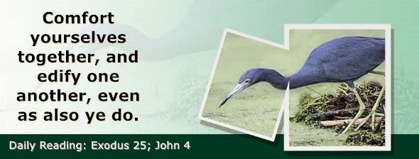 https://bibletruthpublishers.com/ComfortOfScriptures/wp-content/uploads/cos-hdg-2020-074.jpg