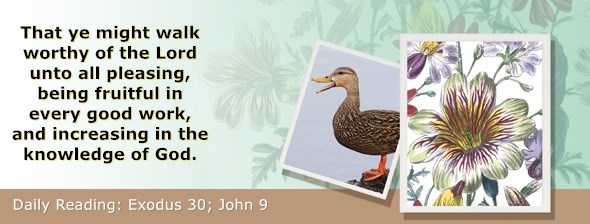 https://bibletruthpublishers.com/ComfortOfScriptures/wp-content/uploads/cos-hdg-2020-079.jpg