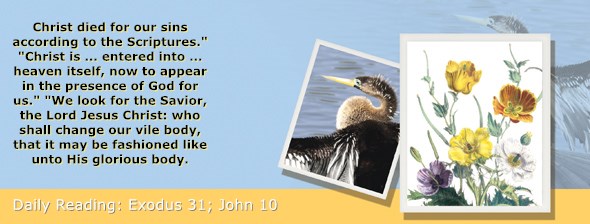 https://bibletruthpublishers.com/ComfortOfScriptures/wp-content/uploads/cos-hdg-2020-080.jpg