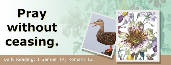 https://bibletruthpublishers.com/ComfortOfScriptures/wp-content/uploads/cos-hdg-2020-235.jpg