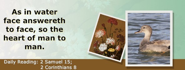 https://bibletruthpublishers.com/ComfortOfScriptures/wp-content/uploads/cos-hdg-2020-263.jpg