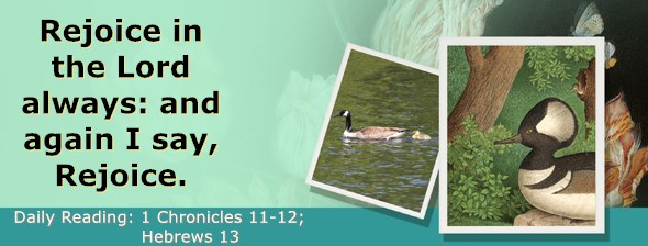 https://bibletruthpublishers.com/ComfortOfScriptures/wp-content/uploads/cos-hdg-2020-323.jpg