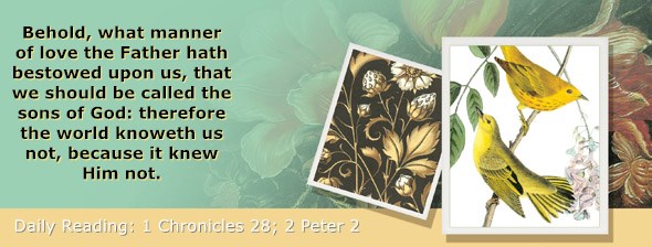 https://bibletruthpublishers.com/ComfortOfScriptures/wp-content/uploads/cos-hdg-2020-335.jpg