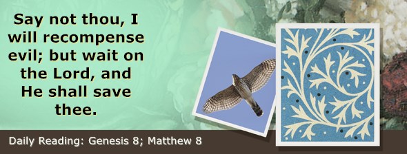 https://bibletruthpublishers.com/ComfortOfScriptures/wp-content/uploads/cos-hdg-2021-008.jpg