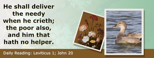 https://bibletruthpublishers.com/ComfortOfScriptures/wp-content/uploads/cos-hdg-2021-089.jpg