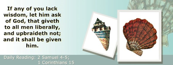 https://bibletruthpublishers.com/ComfortOfScriptures/wp-content/uploads/cos-hdg-2021-253.jpg